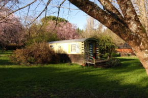 Graines de nature - Ecolodges Insolites